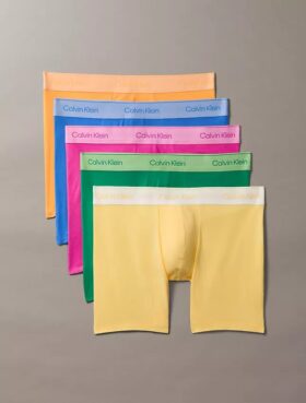Lot de 5 Boxers Icon en Cotton Stretch Pride