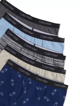 Lot de 5 Boxers pour garçons