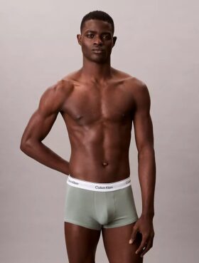 Lot de 5 Low Rise Trunks en Cotton Stretch Icon