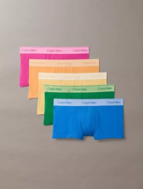 Lot de 5 Low Rise Trunks Icon en Cotton Stretch Pride
