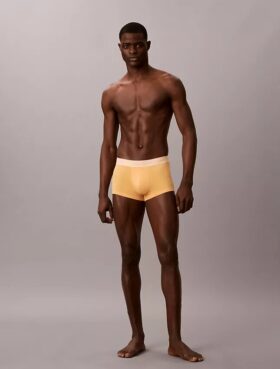 Lot de 5 Low Rise Trunks Icon en Cotton Stretch Pride