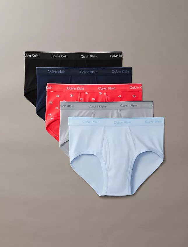 Lot de 5 slips Cotton Classics Brief Lot de 5 slips Cotton Classics Brief