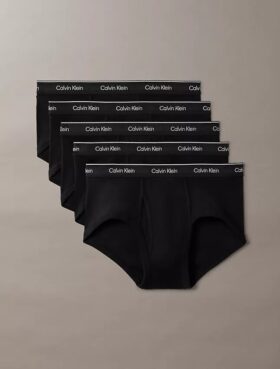 Lot de 5 slips Cotton Classics Brief