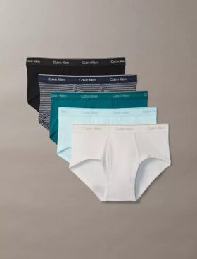 Lot de 5 slips Cotton Classics Brief