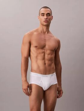 Lot de 5 slips Cotton Classics Brief