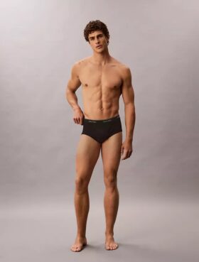 Lot de 5 slips Cotton Classics Brief
