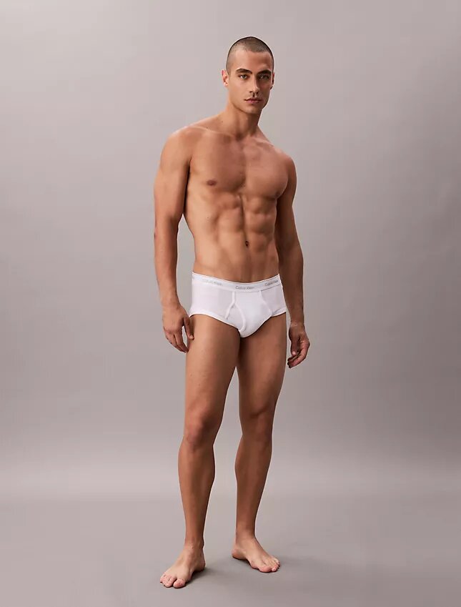 Lot de 5 slips Cotton Classics Brief Lot de 5 slips Cotton Classics Brief