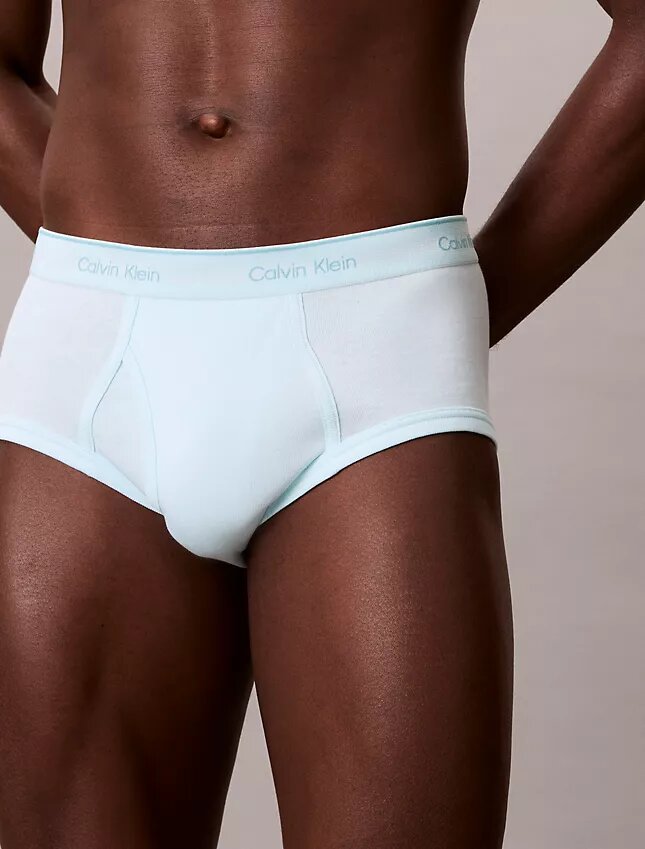 Lot de 5 slips Cotton Classics Brief Lot de 5 slips Cotton Classics Brief
