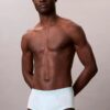 Lot de 5 slips Cotton Classics Brief Lot de 5 slips Cotton Classics Brief