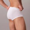 Lot de 5 slips Cotton Classics Brief Lot de 5 slips Cotton Classics Brief