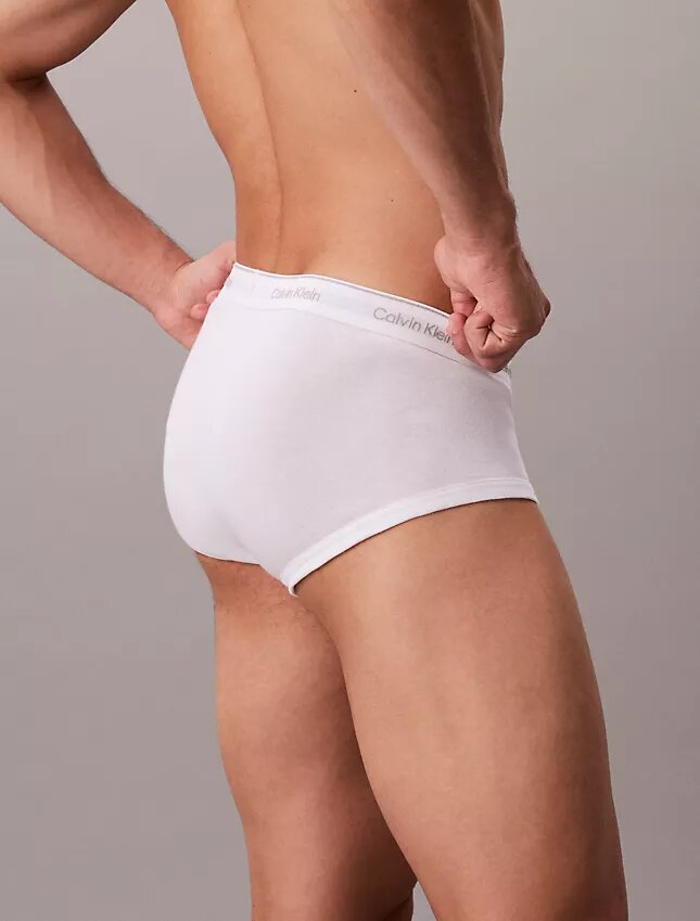 Lot de 5 slips Cotton Classics Brief Lot de 5 slips Cotton Classics Brief