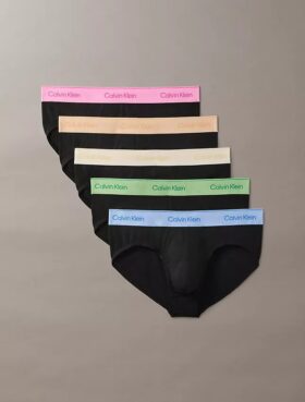Lot de 5 slips Icon Cotton Stretch Pride