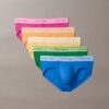 Lot de 5 slips Icon Cotton Stretch Pride