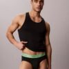 Lot de 5 slips Icon Cotton Stretch Pride