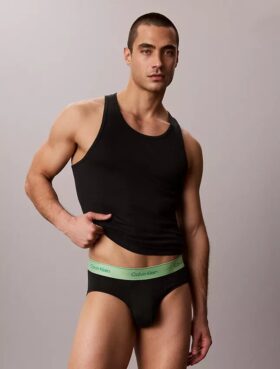 Lot de 5 slips Icon Cotton Stretch Pride
