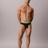 Lot de 5 slips Icon Cotton Stretch Pride