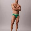 Lot de 5 slips Icon Cotton Stretch Pride