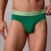 Lot de 5 slips Icon Cotton Stretch Pride