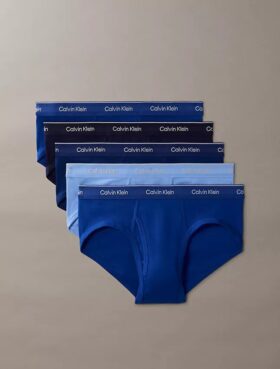 Lot de 5 slips taille basse Cotton Classics