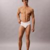 Lot de 5 slips taille basse Cotton Classics