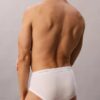 Lot de 5 slips taille basse Cotton Classics