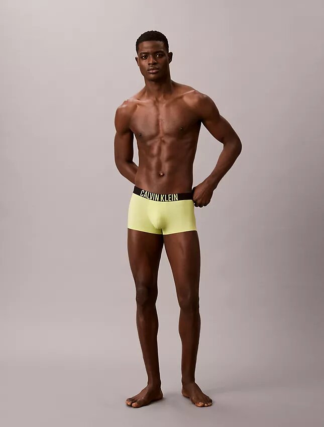Low Rise Trunk Boxer Intense Power Motion Low Rise Trunk Boxer Intense Power Motion