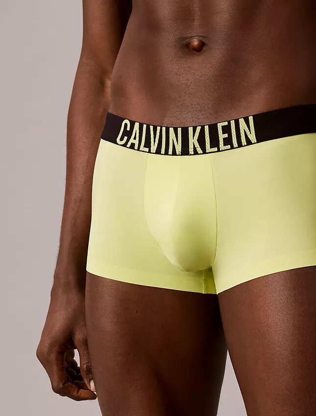 Low Rise Trunk Boxer Intense Power Motion Low Rise Trunk Boxer Intense Power Motion