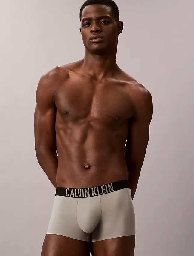 Low Rise Trunk Boxer Intense Power Motion Low Rise Trunk Boxer Intense Power Motion