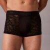 Low Rise Trunk en microfibre et dentelle Low Rise Trunk en microfibre et dentelle