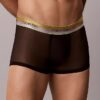 Low Rise Trunk Icon Mesh Pride