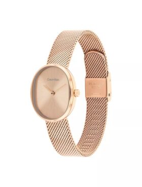 Montre à bracelet maillé rond