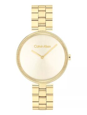 Montre-bracelet à maillons minimaliste
