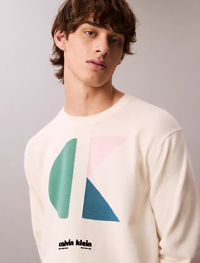 Pull classique à motif graphique et logo color block Pull classique à motif graphique et logo color block