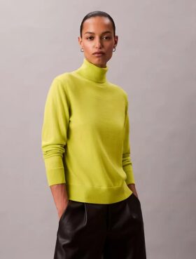 Pull à col roulé classique en laine mérinos