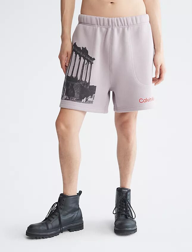 Short en molleton graphique Standards Ruins Short en molleton graphique Standards Ruins