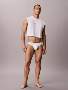 Slip taille basse Icon Cotton Stretch Pride