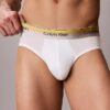 Slip taille basse Icon Cotton Stretch Pride