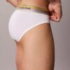 Slip taille basse Icon Cotton Stretch Pride
