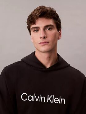 Sweat à capuche en molleton avec logo standard