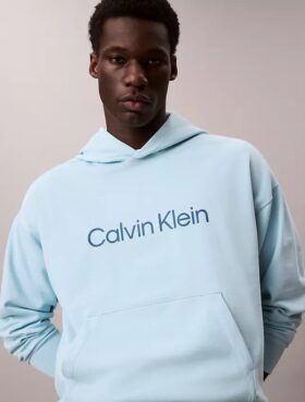 Sweat à capuche en éponge avec logo standard