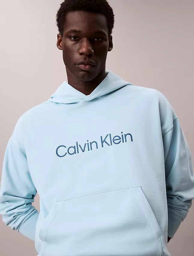 Sweat à capuche en éponge avec logo standard Sweat à capuche en éponge avec logo standard
