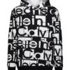 Sweat à capuche pour garçons avec logo graphique ton sur ton sur toute la surface Sweat à capuche pour garçons avec logo graphique ton sur ton sur toute la surface