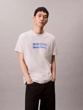 T-shirt classique avec logo délavé