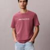T-shirt classique avec logo en minuscules T-shirt classique avec logo en minuscules