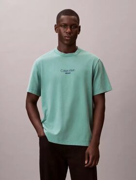 T-shirt classique à logo et effet délavé à l&rsquo;acide