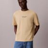 T-shirt à col rond classique avec logo délavé T-shirt à col rond classique avec logo délavé