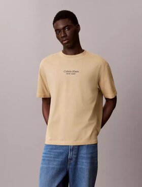 T-shirt à col rond classique avec logo délavé