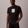 T-shirt moderne à logo graphique Calvin Klein T-shirt moderne à logo graphique Calvin Klein