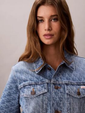 Trucker Jacket classique